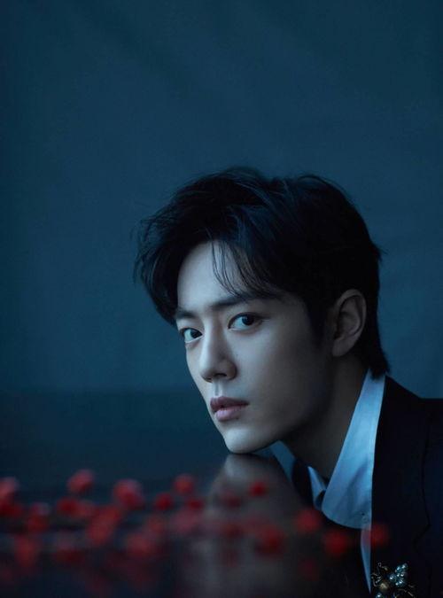 天涯论坛肖战最新爆料视频,天涯论坛热议事件真相揭晓